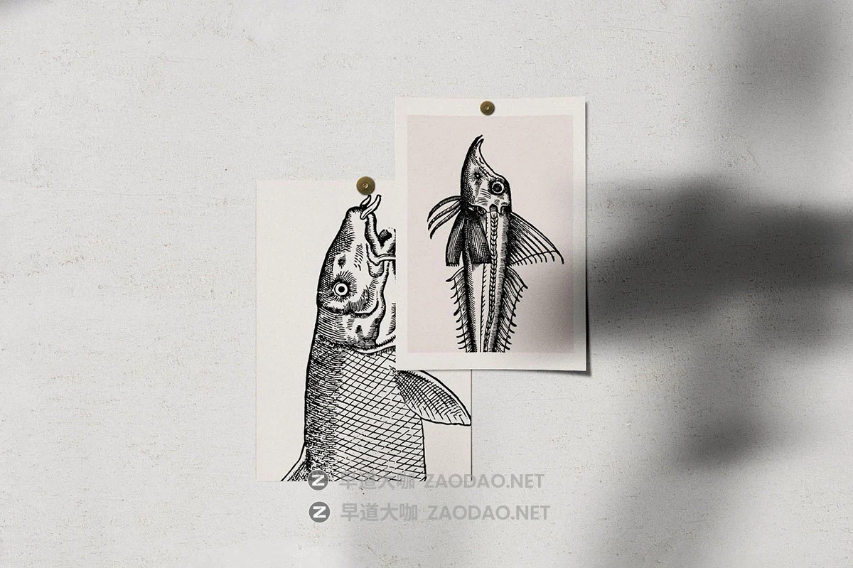 108幅复古各种鱼类海洋主题壁画手绘线条插图ai矢量设计素材 A Renaissance Field Guide to Fish插图2 108幅复古各种鱼类海洋主题壁画手绘线条插图ai矢量设计素材 A Renaissance Field Guide to Fish插图2