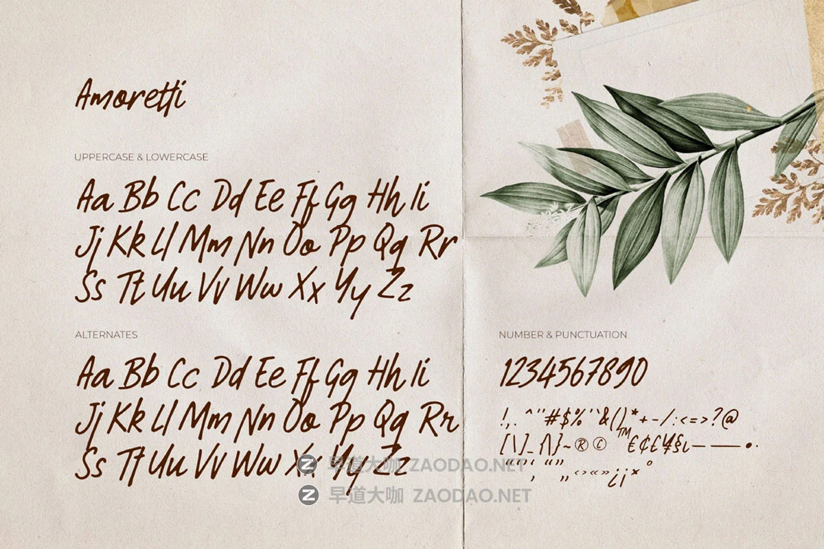 时尚优雅女性化婚礼请柬书籍封面标题手写英文字体安装包 Amoretti – Handwriting Font插图3 时尚优雅女性化婚礼请柬书籍封面标题手写英文字体安装包 Amoretti – Handwriting Font插图3