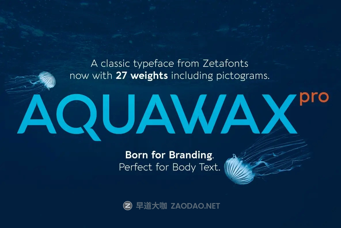 Myfonts – Aquawax Pro Font Family 27款字重现代几何美学圆润边缘电影海报徽标标题logo设计英文字体家族插图 Myfonts – Aquawax Pro Font Family 27款字重现代几何美学圆润边缘电影海报徽标标题logo设计英文字体家族插图