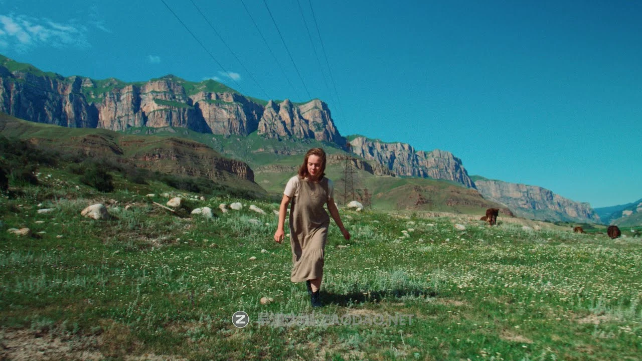 Serr – FilmVision Pro V1.1 专业电影级柯达富士胶片模拟色彩分级调色达芬奇节点 + LUT预设 + 视频教程(中文字幕)插图22 Serr – FilmVision Pro V1.1 专业电影级柯达富士胶片模拟色彩分级调色达芬奇节点 + LUT预设 + 视频教程(中文字幕)插图22