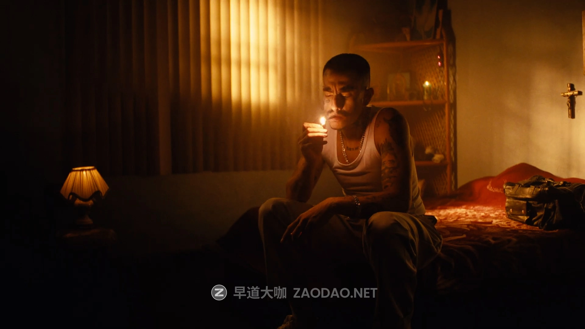 Serr – FilmVision Pro V1.1 专业电影级柯达富士胶片模拟色彩分级调色达芬奇节点 + LUT预设 + 视频教程(中文字幕)插图2 Serr – FilmVision Pro V1.1 专业电影级柯达富士胶片模拟色彩分级调色达芬奇节点 + LUT预设 + 视频教程(中文字幕)插图2