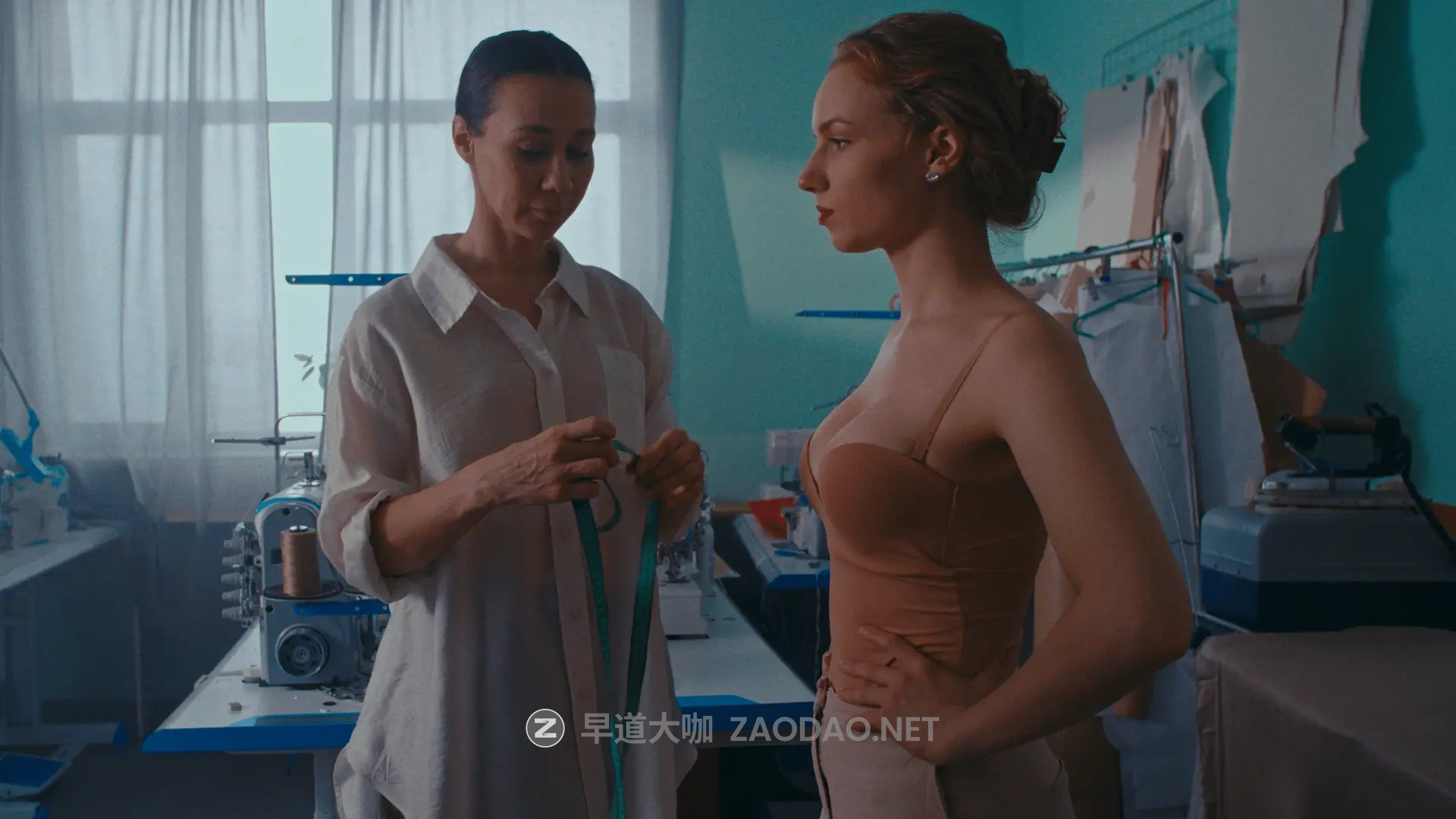 Serr – FilmVision Pro V1.1 专业电影级柯达富士胶片模拟色彩分级调色达芬奇节点 + LUT预设 + 视频教程(中文字幕)插图11 Serr – FilmVision Pro V1.1 专业电影级柯达富士胶片模拟色彩分级调色达芬奇节点 + LUT预设 + 视频教程(中文字幕)插图11