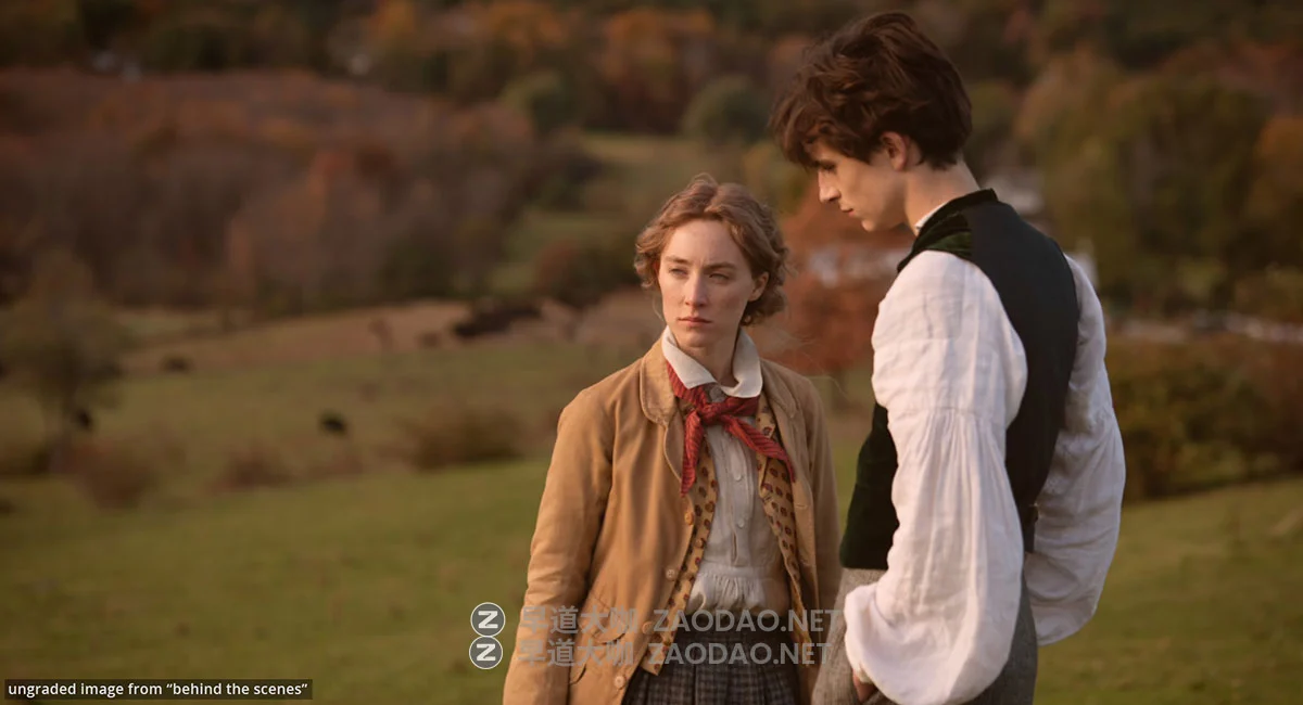 MonoNodes 《小妇人》电影色调模拟逆向还原达芬奇调色PowerGrades节点 Mononodes – Little Women Reverse Engineered PowerGrades插图24 MonoNodes 《小妇人》电影色调模拟逆向还原达芬奇调色PowerGrades节点 Mononodes – Little Women Reverse Engineered PowerGrades插图24