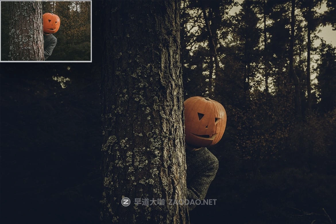 10组复古恐怖万圣节主题肖像摄影照片调色Lightroom预设 Retro Halloween preset插图1 10组复古恐怖万圣节主题肖像摄影照片调色Lightroom预设 Retro Halloween preset插图1