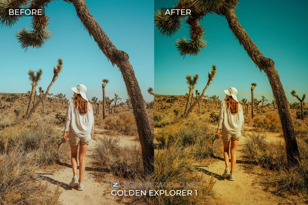 复古梦幻柔和金色灯光房效果户外旅行博主电影摄影照片调色Lightroom预设 Golden Explorer Lightroom Presets插图2 复古梦幻柔和金色灯光房效果户外旅行博主电影摄影照片调色Lightroom预设 Golden Explorer Lightroom Presets插图2