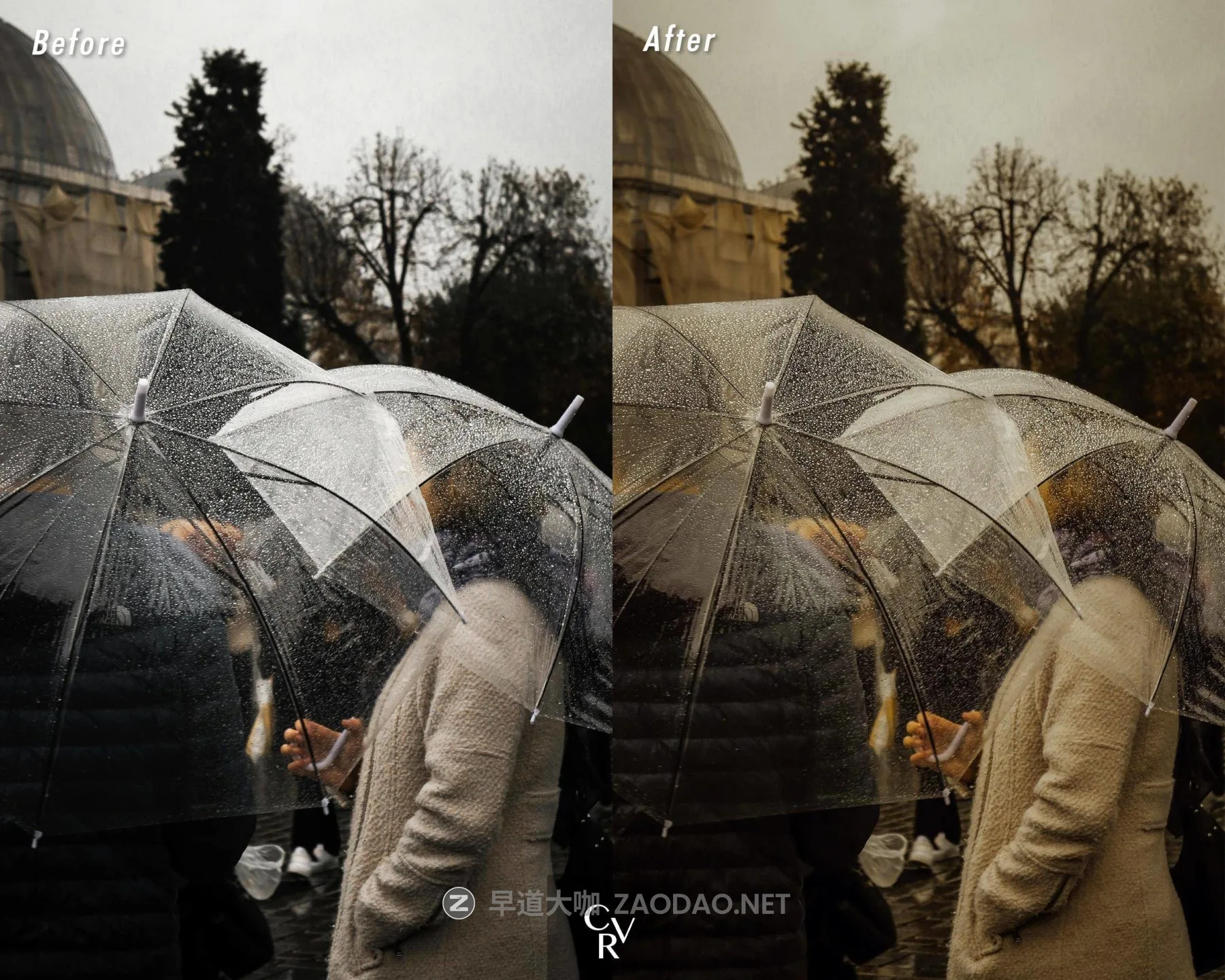 202511021rrdy 202511021rrdy