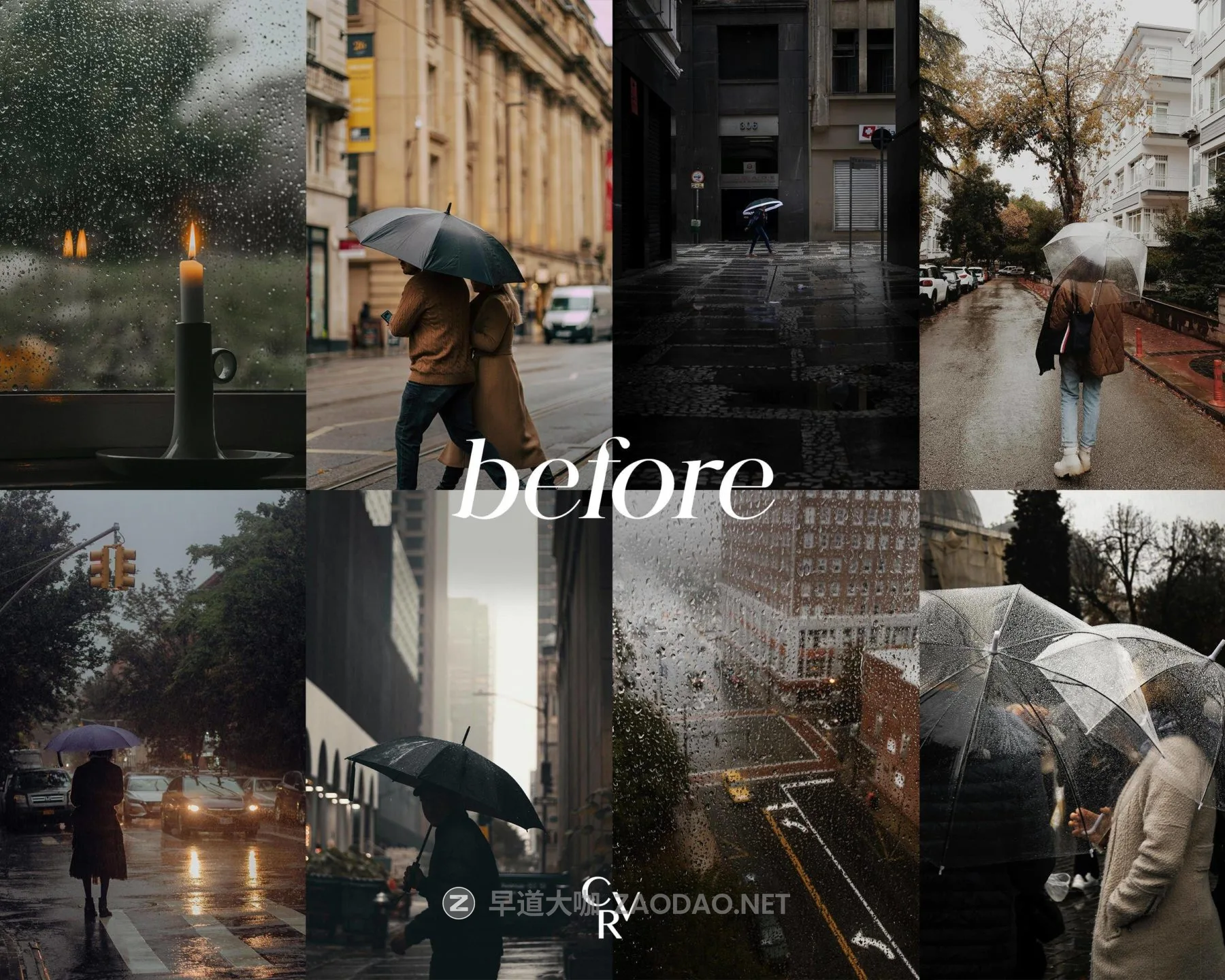 20251102sgaln 20251102sgaln