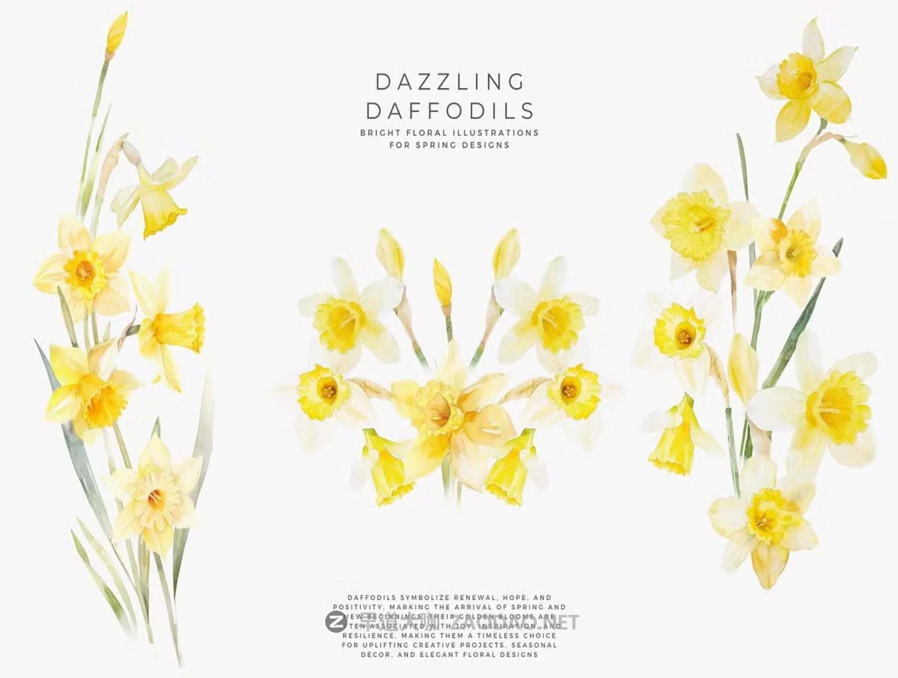 20251108f5mrm 20251108f5mrm