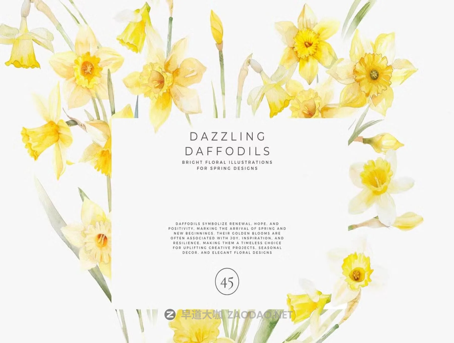 20251108pzd7a 20251108pzd7a