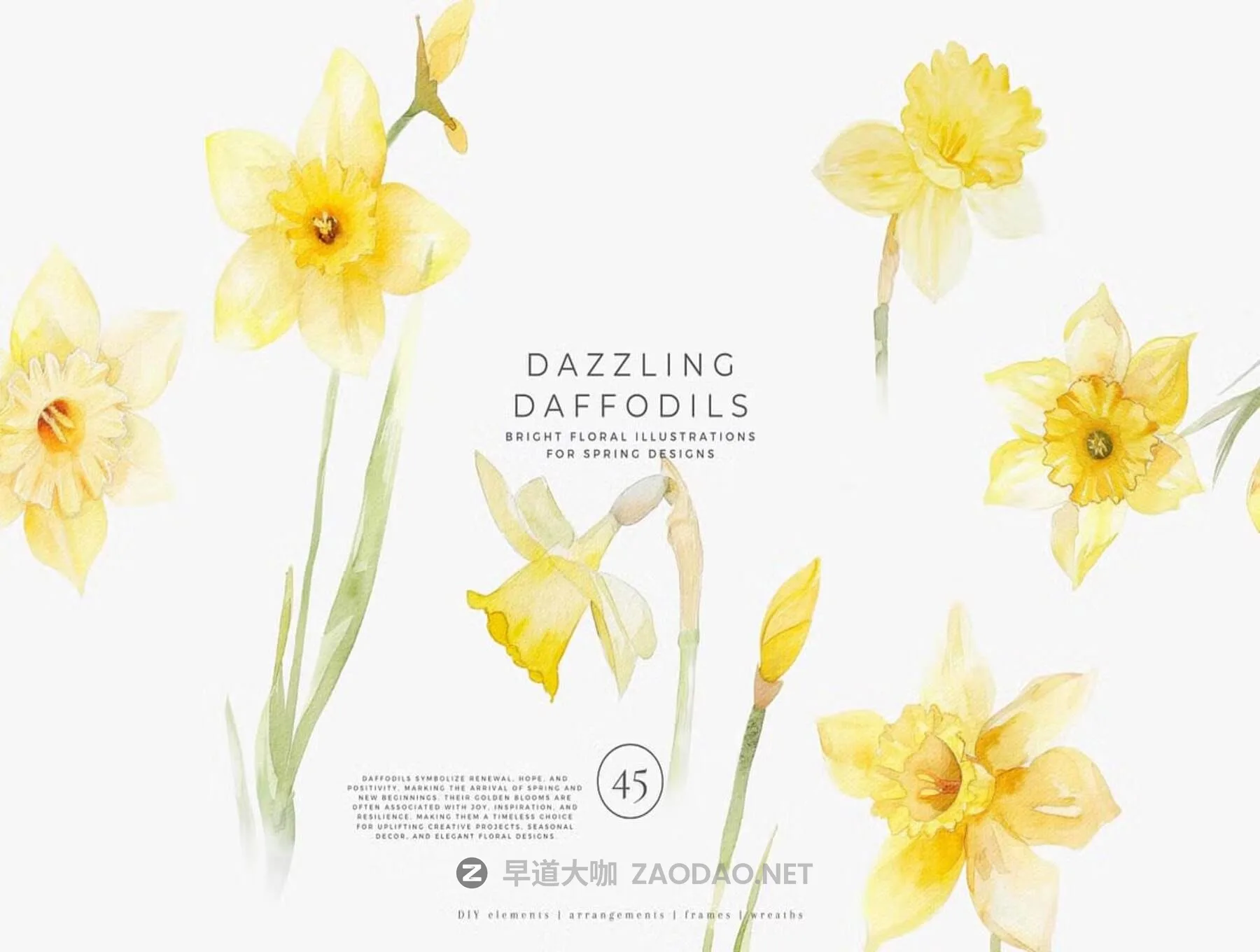 20251108wsi4z 20251108wsi4z