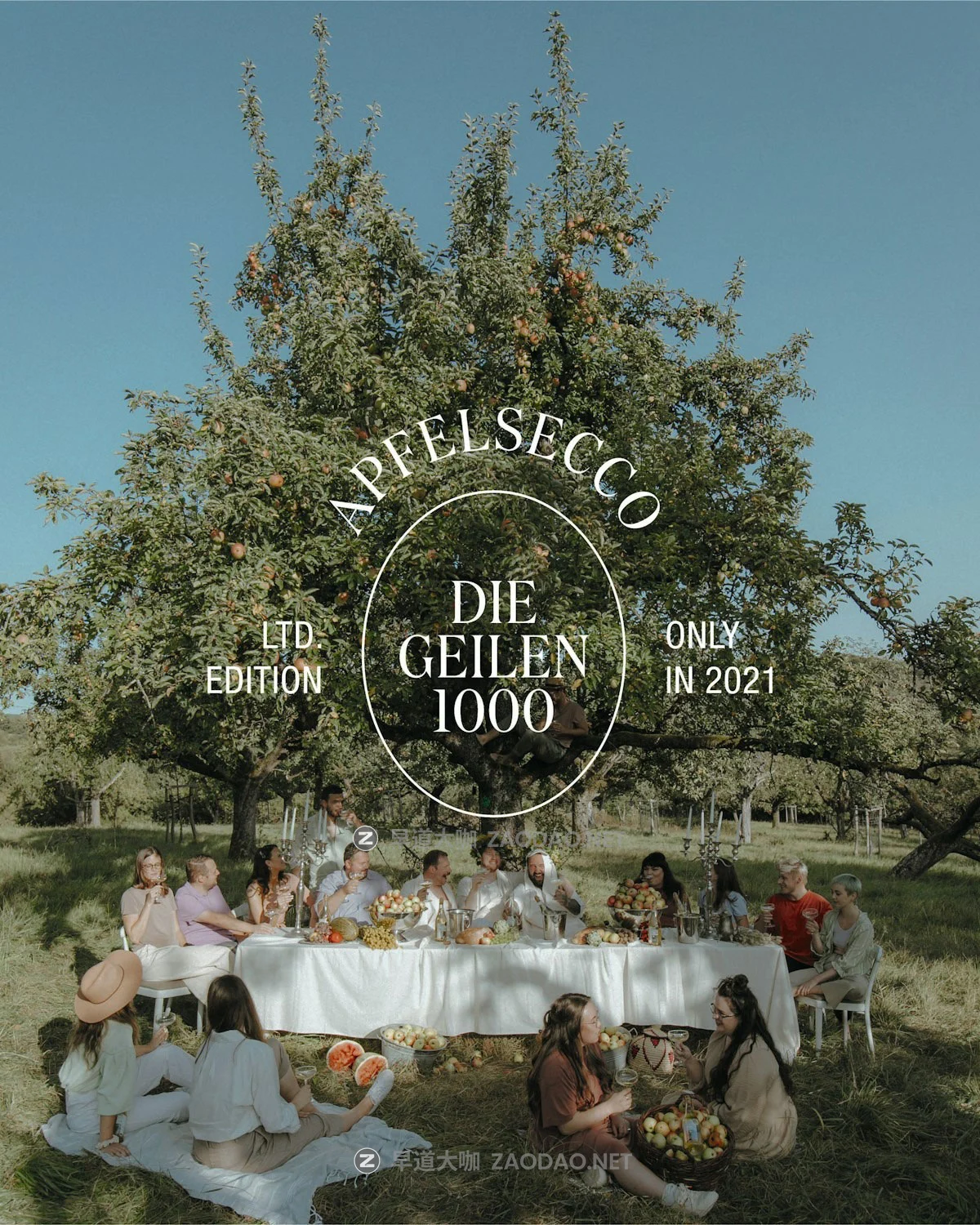 Domaine Display Narrow Font Family 12款字重锐利欧洲风品牌包装标题徽标logo设计psai衬线英文字体安装包插图6 Domaine Display Narrow Font Family 12款字重锐利欧洲风品牌包装标题徽标logo设计psai衬线英文字体安装包插图6