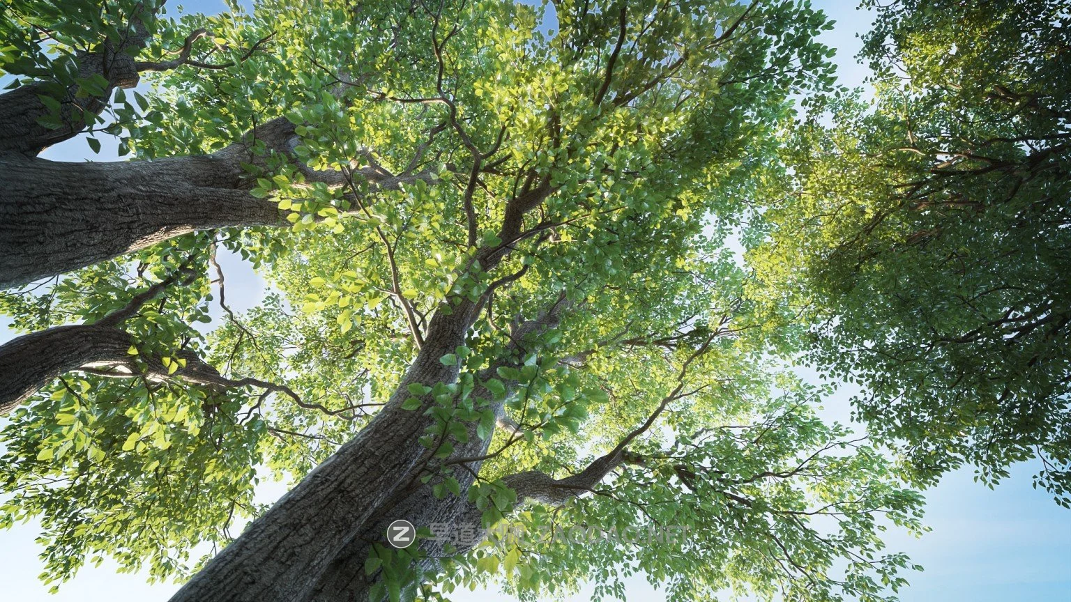 100款高品质树木植物3ds max模型3d资产素材 Evermotion – Archmodels for Corona Vol. 1插图3 100款高品质树木植物3ds max模型3d资产素材 Evermotion – Archmodels for Corona Vol. 1插图3