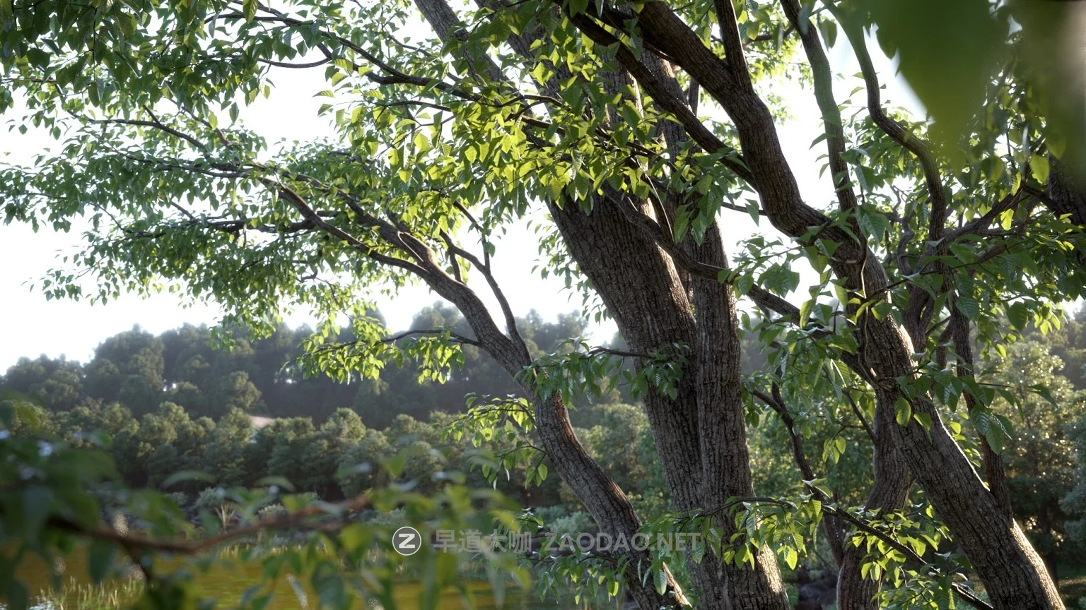 100款高品质树木植物3ds max模型3d资产素材 Evermotion – Archmodels for Corona Vol. 1插图1 100款高品质树木植物3ds max模型3d资产素材 Evermotion – Archmodels for Corona Vol. 1插图1