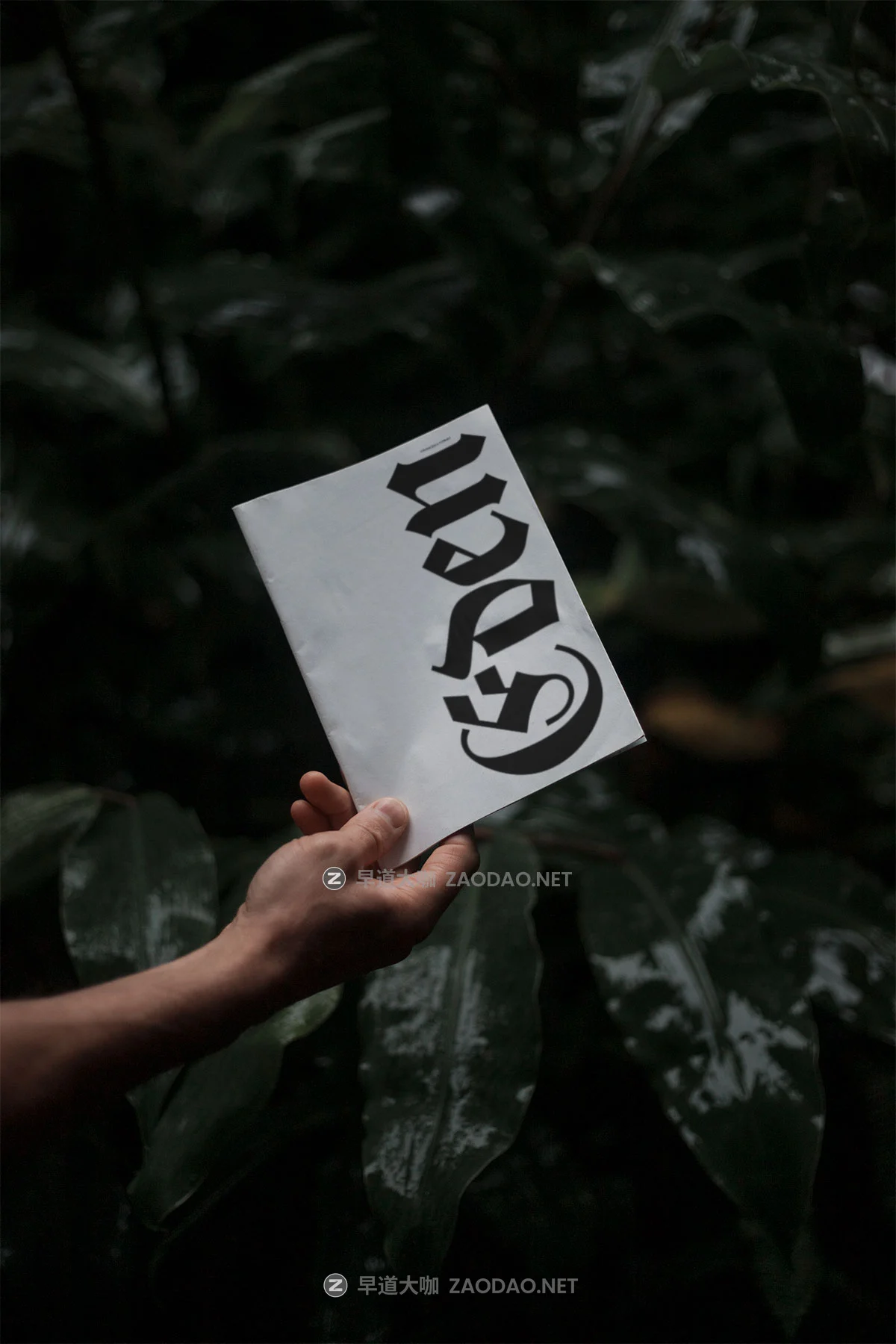 8款小众棒球帽包装盒杂志iPad平板iPhone手机作品集设计贴图psd样机模板 Format Mockup – EDEN 02 Collection P1插图2 8款小众棒球帽包装盒杂志iPad平板iPhone手机作品集设计贴图psd样机模板 Format Mockup – EDEN 02 Collection P1插图2