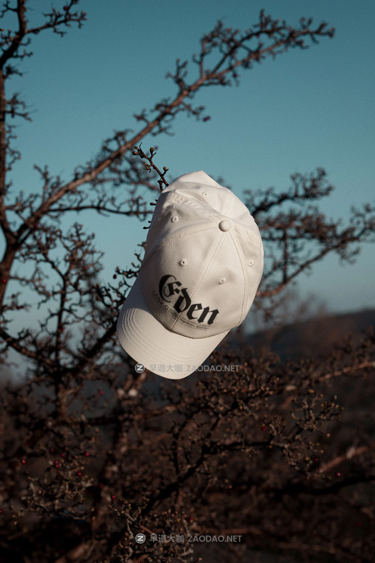 8款小众棒球帽包装盒杂志iPad平板iPhone手机作品集设计贴图psd样机模板 Format Mockup – EDEN 02 Collection P1插图4 8款小众棒球帽包装盒杂志iPad平板iPhone手机作品集设计贴图psd样机模板 Format Mockup – EDEN 02 Collection P1插图4