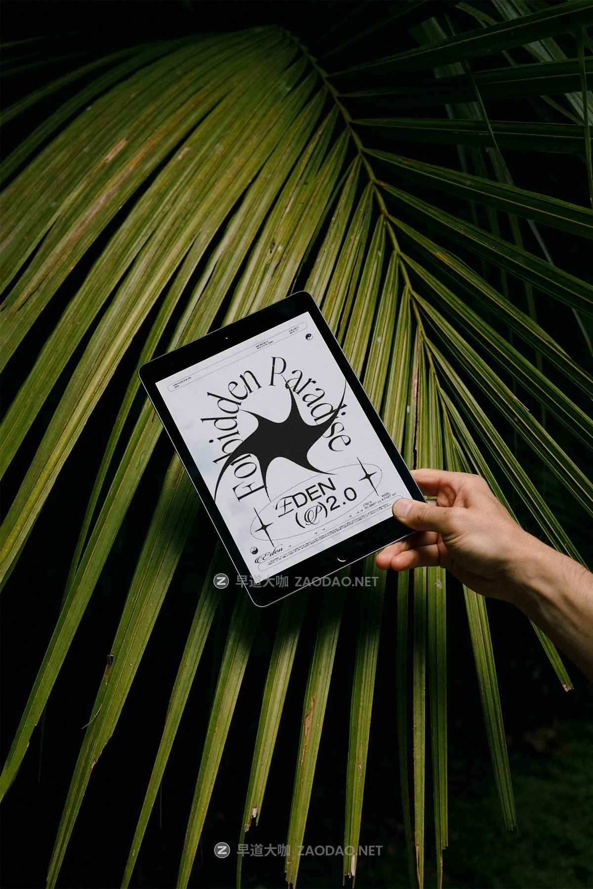 8款小众棒球帽包装盒杂志iPad平板iPhone手机作品集设计贴图psd样机模板 Format Mockup – EDEN 02 Collection P1插图7 8款小众棒球帽包装盒杂志iPad平板iPhone手机作品集设计贴图psd样机模板 Format Mockup – EDEN 02 Collection P1插图7