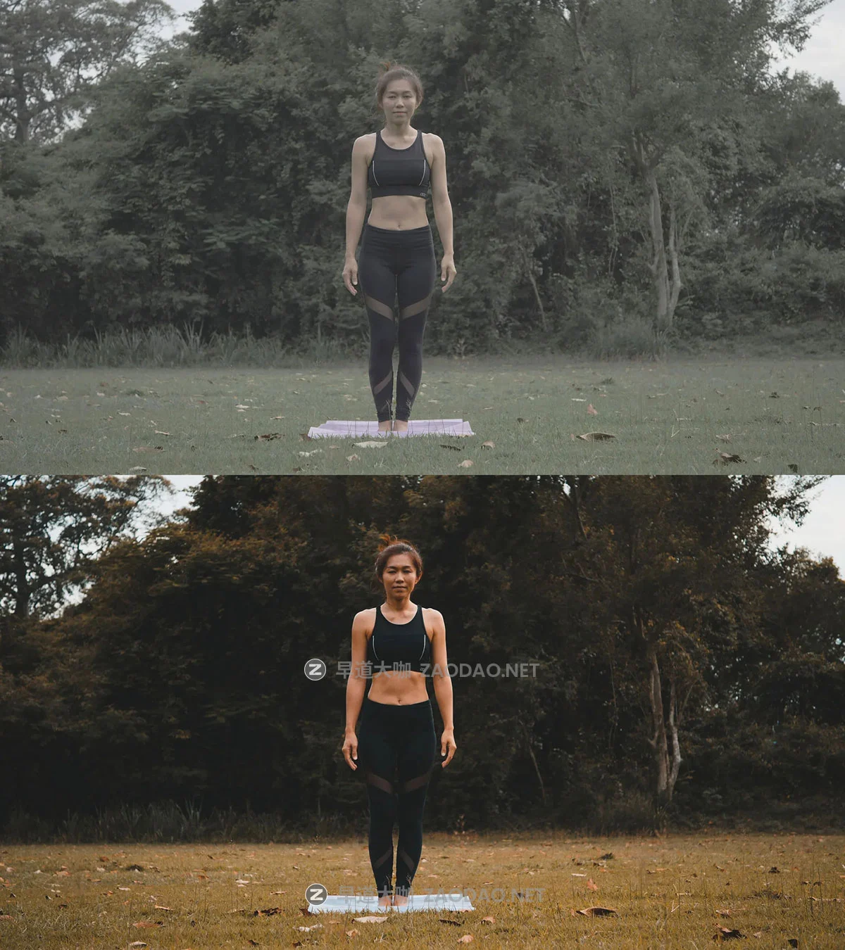 20组电影美学阿莱Arri索尼胶片仿真模拟Raw、Log、Rec 709灰片视频调色还原lut预设 ColorWheel Store – Lut Travel vol 3 – Fade Style插图1 20组电影美学阿莱Arri索尼胶片仿真模拟Raw、Log、Rec 709灰片视频调色还原lut预设 ColorWheel Store – Lut Travel vol 3 – Fade Style插图1