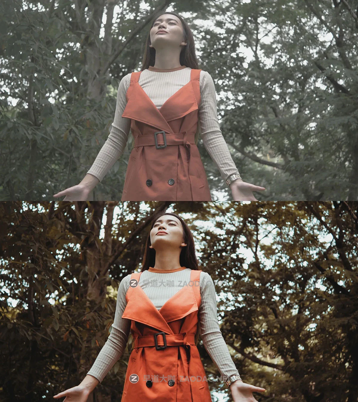 20组电影美学阿莱Arri索尼胶片仿真模拟Raw、Log、Rec 709灰片视频调色还原lut预设 ColorWheel Store – Lut Travel vol 3 – Fade Style插图2 20组电影美学阿莱Arri索尼胶片仿真模拟Raw、Log、Rec 709灰片视频调色还原lut预设 ColorWheel Store – Lut Travel vol 3 – Fade Style插图2