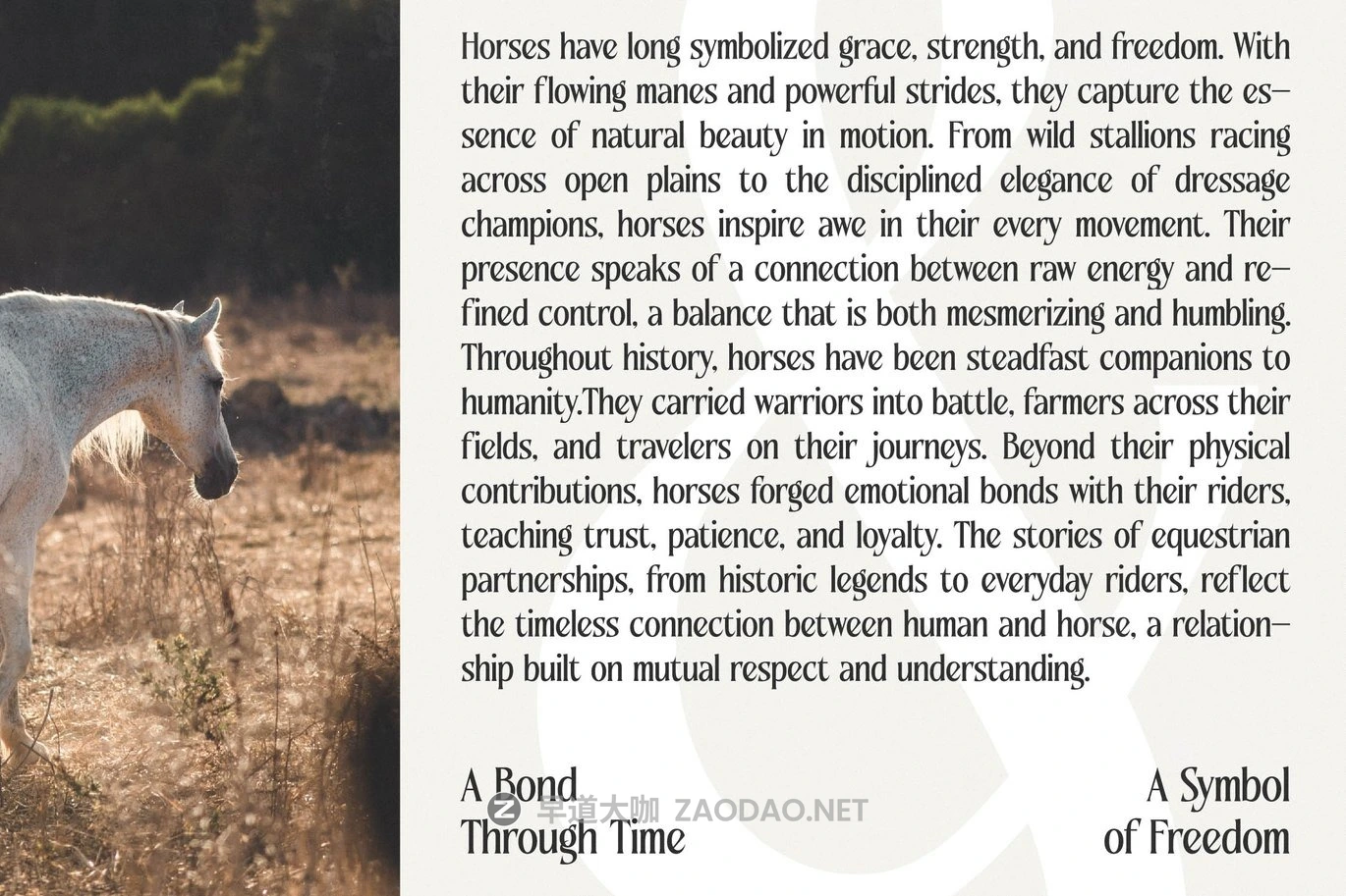 优雅复古品牌海报徽标设计衬线英文字体安装包 Qugotic – Modern Alternate Serif插图3 优雅复古品牌海报徽标设计衬线英文字体安装包 Qugotic – Modern Alternate Serif插图3