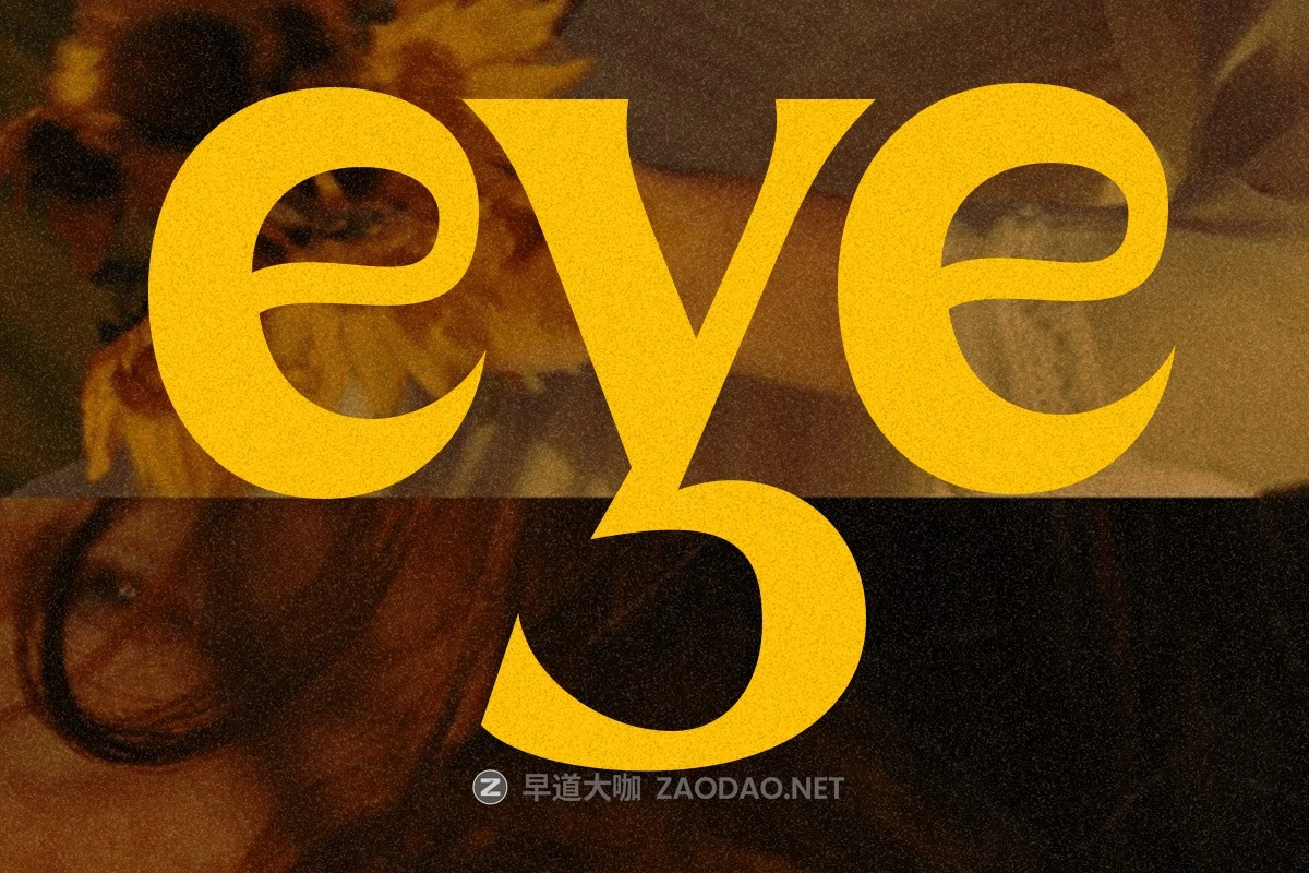 优雅复古品牌海报徽标设计衬线英文字体安装包 Eregine Retro Serif Font插图8 优雅复古品牌海报徽标设计衬线英文字体安装包 Eregine Retro Serif Font插图8