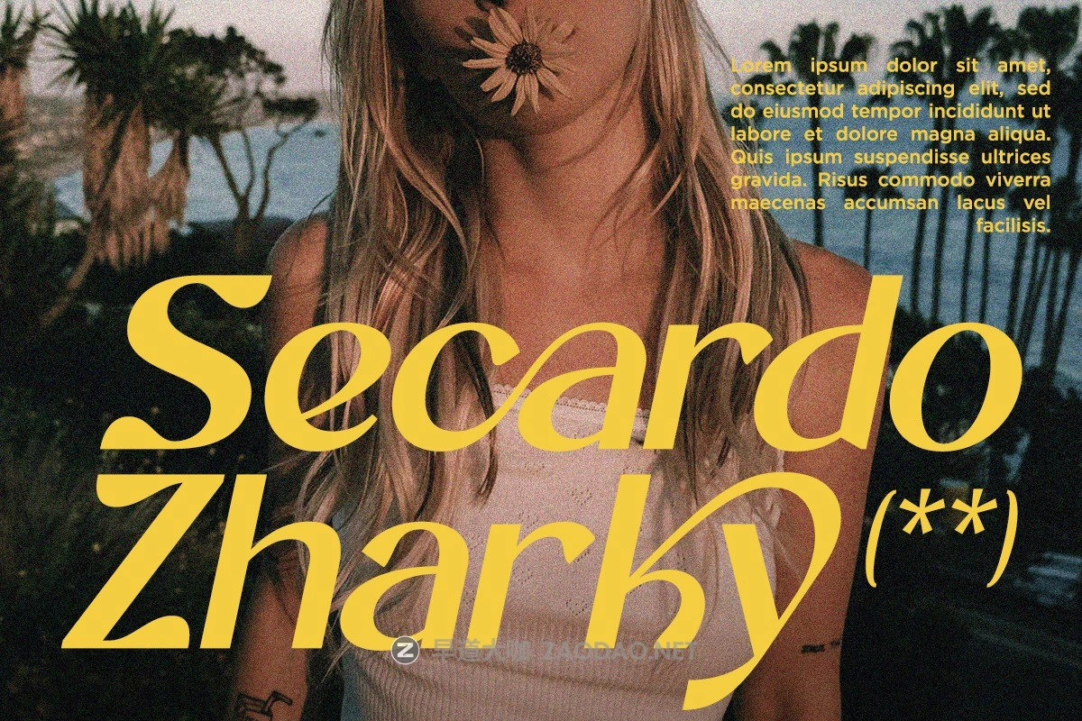 时尚优雅美学品牌海报徽标设计无衬线英文字体安装包 Cherlav – Modern Ligature Sans Font插图6 时尚优雅美学品牌海报徽标设计无衬线英文字体安装包 Cherlav – Modern Ligature Sans Font插图6