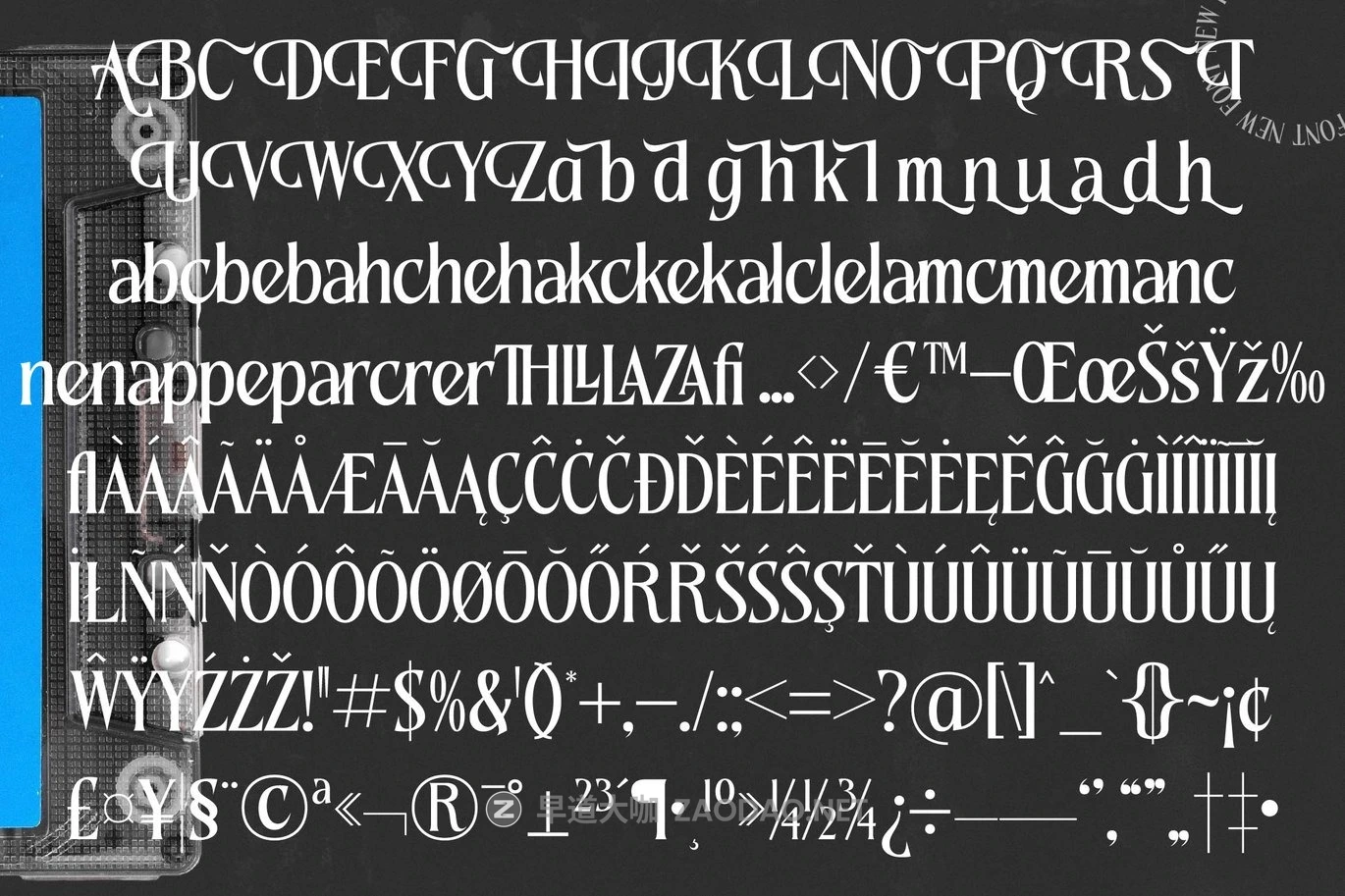 优雅复古品牌海报徽标设计衬线英文字体安装包 Qugotic – Modern Alternate Serif插图6 优雅复古品牌海报徽标设计衬线英文字体安装包 Qugotic – Modern Alternate Serif插图6