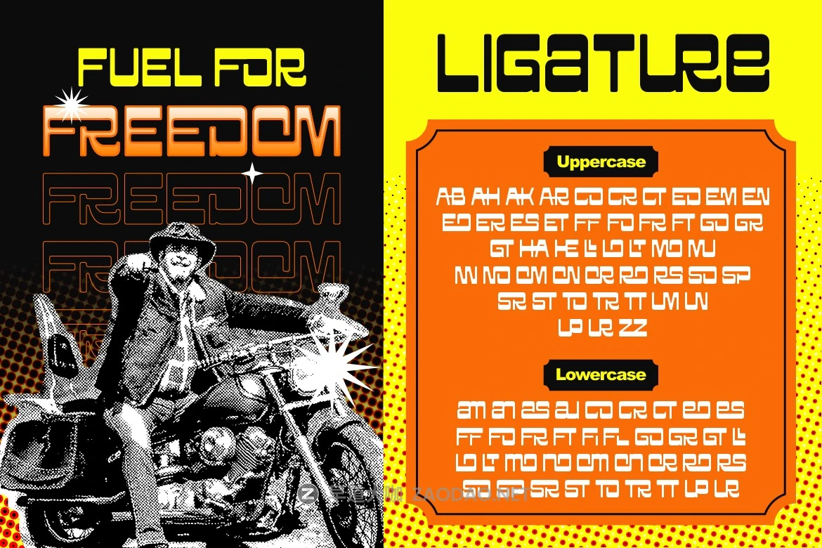 现代复古杂志电影海报徽标设计无衬线英文字体安装包 Grovina插图5 现代复古杂志电影海报徽标设计无衬线英文字体安装包 Grovina插图5