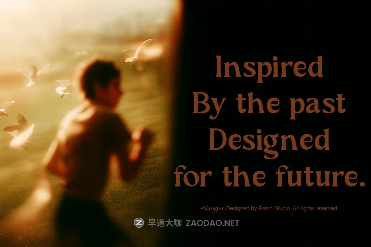 优雅复古品牌海报徽标设计衬线英文字体安装包 Eregine Retro Serif Font插图3 优雅复古品牌海报徽标设计衬线英文字体安装包 Eregine Retro Serif Font插图3