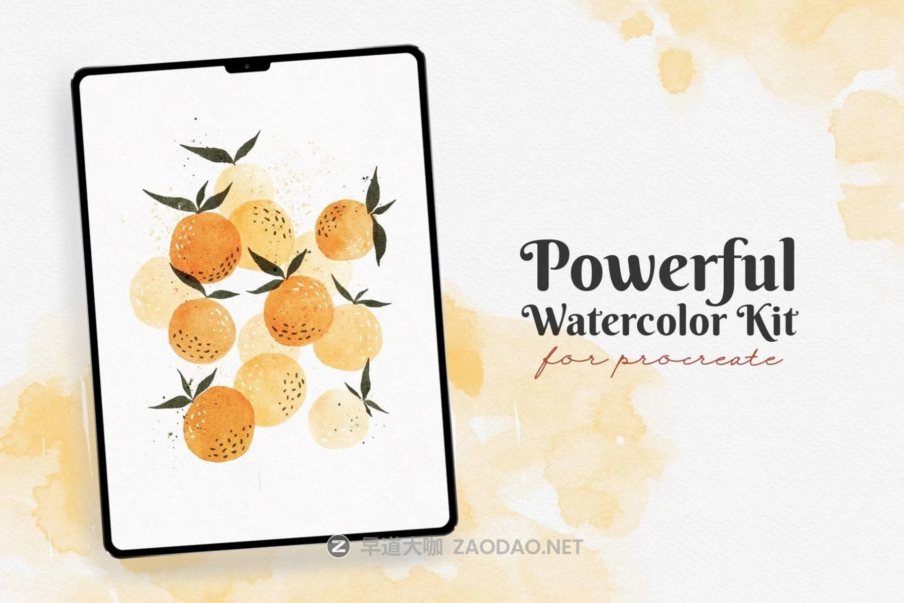 202512071z2zl 202512071z2zl