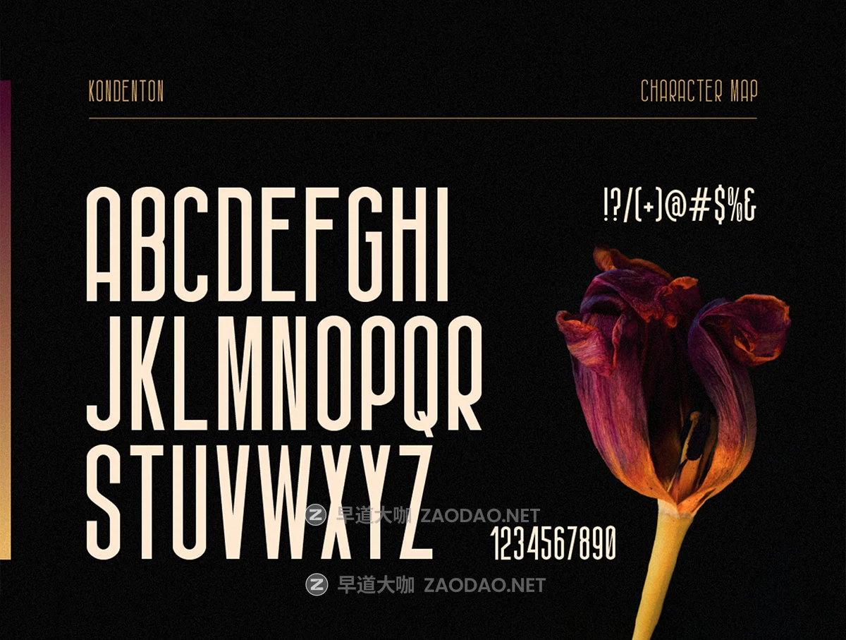现代时尚压缩网页杂志海报t恤标题logo品牌设计psai无衬线英文字体安装包 Kondenton Condense Font插图1 现代时尚压缩网页杂志海报t恤标题logo品牌设计psai无衬线英文字体安装包 Kondenton Condense Font插图1
