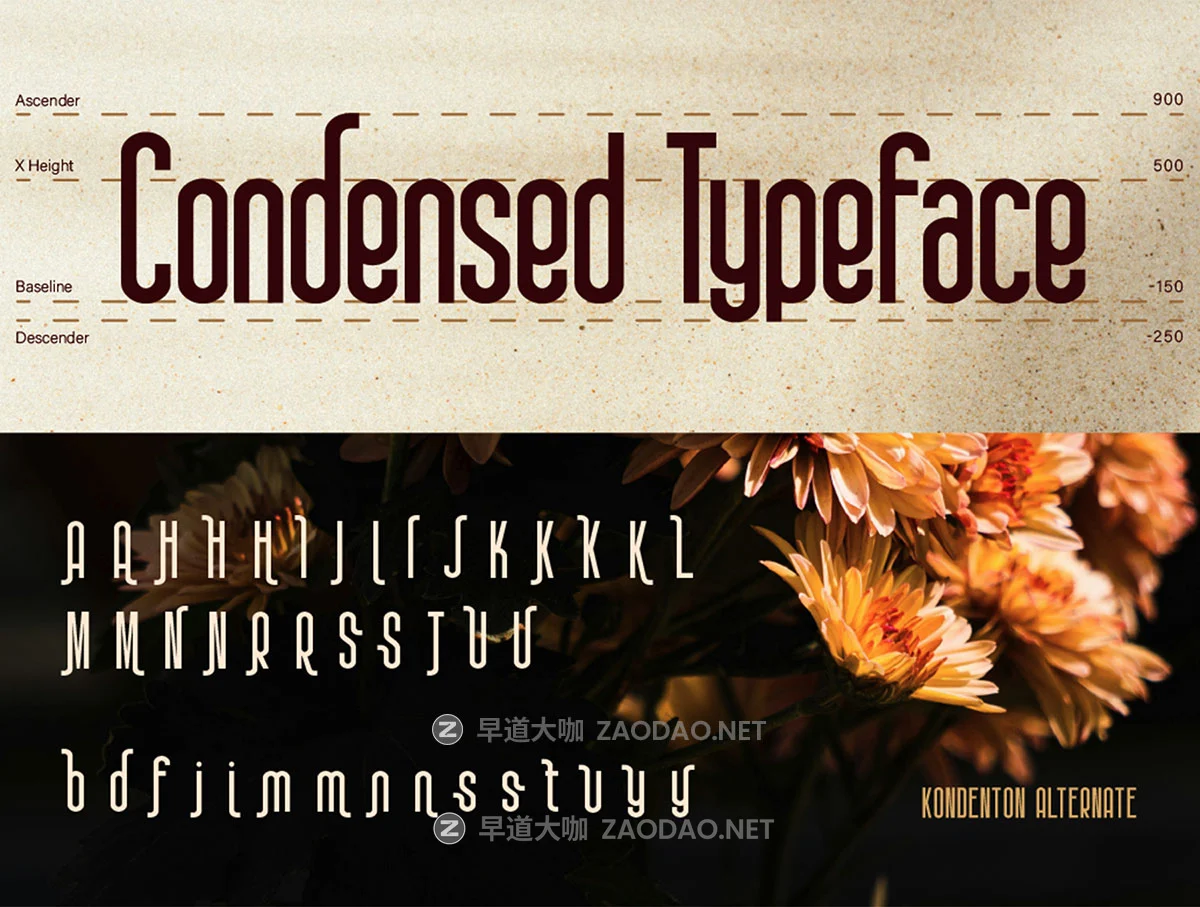 现代时尚压缩网页杂志海报t恤标题logo品牌设计psai无衬线英文字体安装包 Kondenton Condense Font插图5 现代时尚压缩网页杂志海报t恤标题logo品牌设计psai无衬线英文字体安装包 Kondenton Condense Font插图5