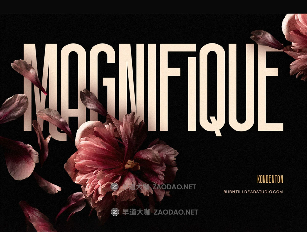 现代时尚压缩网页杂志海报t恤标题logo品牌设计psai无衬线英文字体安装包 Kondenton Condense Font插图7 现代时尚压缩网页杂志海报t恤标题logo品牌设计psai无衬线英文字体安装包 Kondenton Condense Font插图7