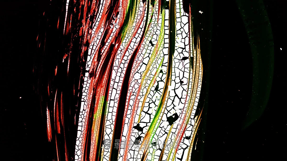 105组复古美学胶片粗糙刮痕打孔笔触涂装音乐厅DJ大屏幕转场过渡+视频教程 Acidbite – Cinemarkers 2插图8 105组复古美学胶片粗糙刮痕打孔笔触涂装音乐厅DJ大屏幕转场过渡+视频教程 Acidbite – Cinemarkers 2插图8