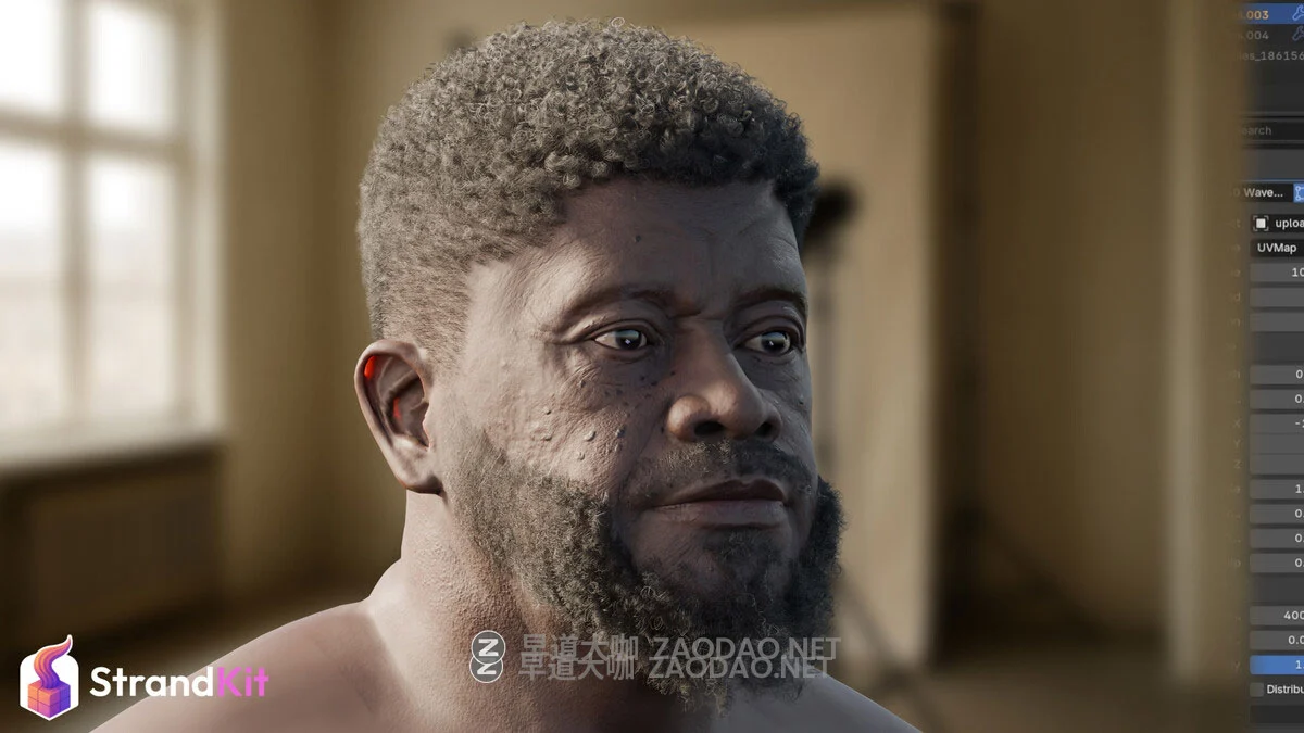 Blender真实头发毛发系统化资产预设库 StrandKit V1.5.1 Blender – Strandkit The Hair, Fur & Dynamics Library插图23 Blender真实头发毛发系统化资产预设库 StrandKit V1.5.1 Blender – Strandkit The Hair, Fur & Dynamics Library插图23