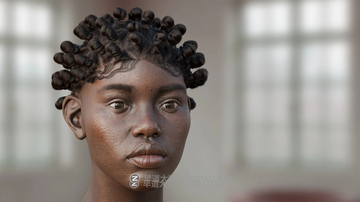 Blender真实头发毛发系统化资产预设库 StrandKit V1.5.1 Blender – Strandkit The Hair, Fur & Dynamics Library插图27 Blender真实头发毛发系统化资产预设库 StrandKit V1.5.1 Blender – Strandkit The Hair, Fur & Dynamics Library插图27