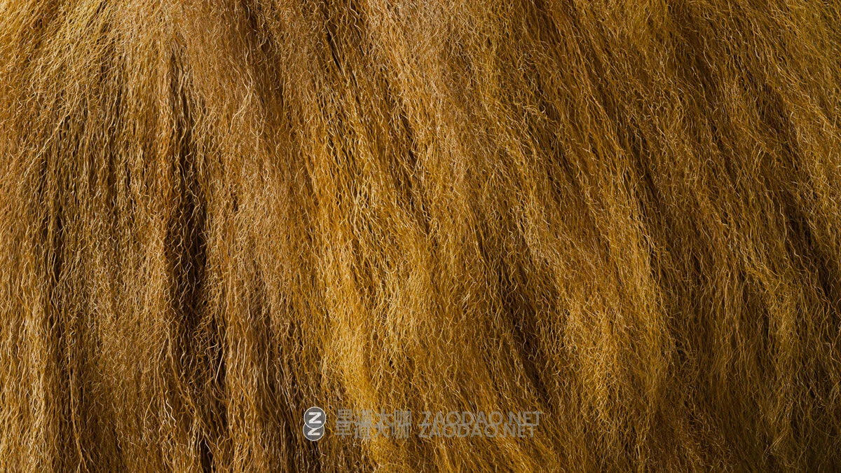 Blender真实头发毛发系统化资产预设库 StrandKit V1.5.1 Blender – Strandkit The Hair, Fur & Dynamics Library插图14 Blender真实头发毛发系统化资产预设库 StrandKit V1.5.1 Blender – Strandkit The Hair, Fur & Dynamics Library插图14