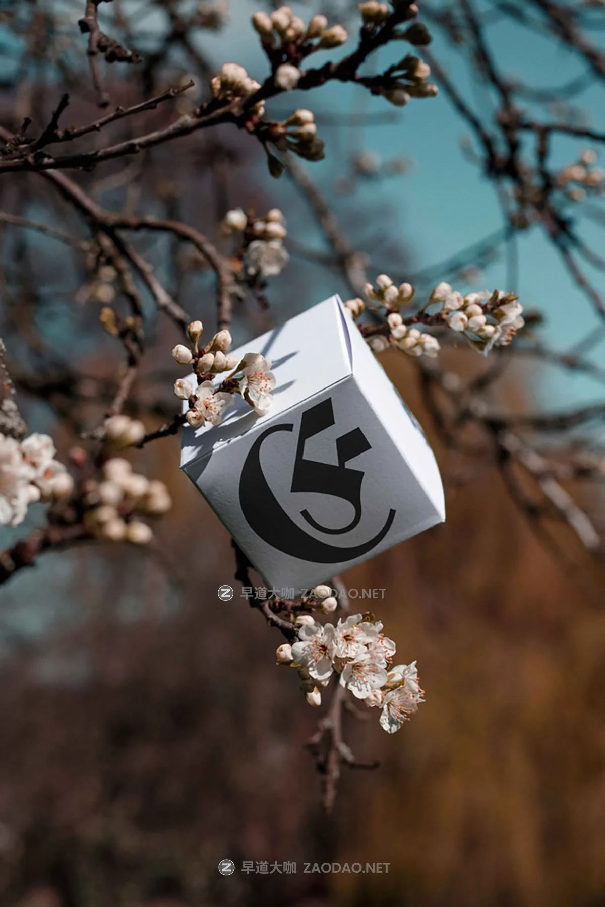 6款小众棒球帽帆布袋作品集设计贴图psd样机模板 Format Mockup – EDEN 02 Collection P2插图6 6款小众棒球帽帆布袋作品集设计贴图psd样机模板 Format Mockup – EDEN 02 Collection P2插图6