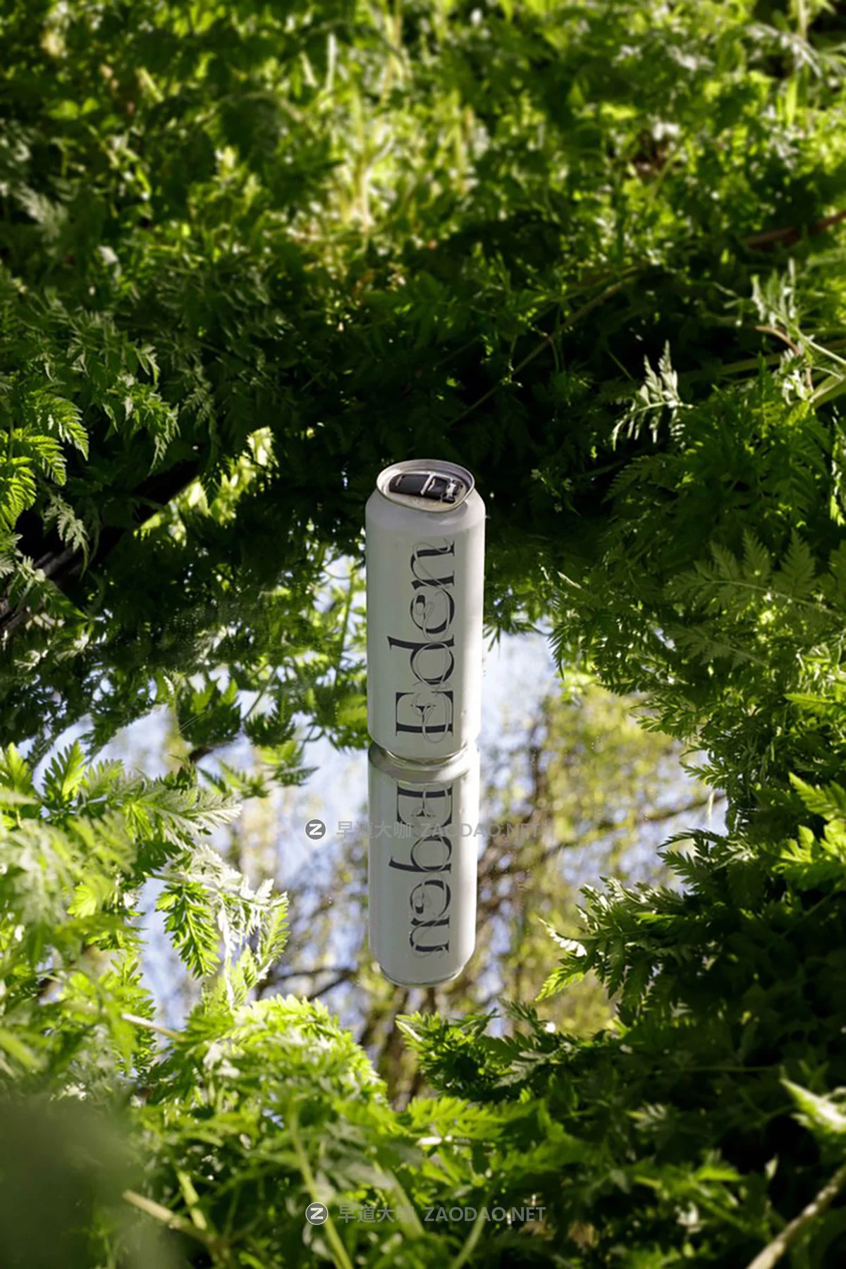 6款小众棒球帽帆布袋作品集设计贴图psd样机模板 Format Mockup – EDEN 02 Collection P2插图4 6款小众棒球帽帆布袋作品集设计贴图psd样机模板 Format Mockup – EDEN 02 Collection P2插图4