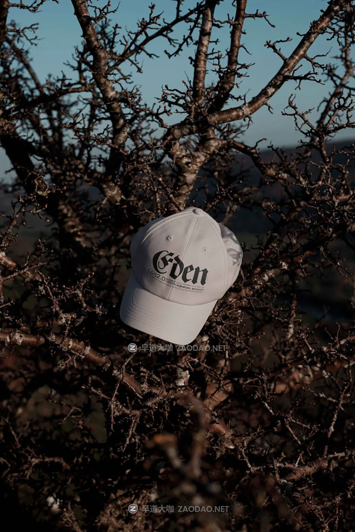 6款小众棒球帽帆布袋作品集设计贴图psd样机模板 Format Mockup – EDEN 02 Collection P2插图3 6款小众棒球帽帆布袋作品集设计贴图psd样机模板 Format Mockup – EDEN 02 Collection P2插图3