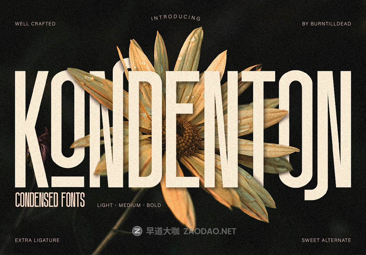 现代时尚压缩网页杂志海报t恤标题logo品牌设计psai无衬线英文字体安装包 Kondenton Condense Font插图 现代时尚压缩网页杂志海报t恤标题logo品牌设计psai无衬线英文字体安装包 Kondenton Condense Font插图