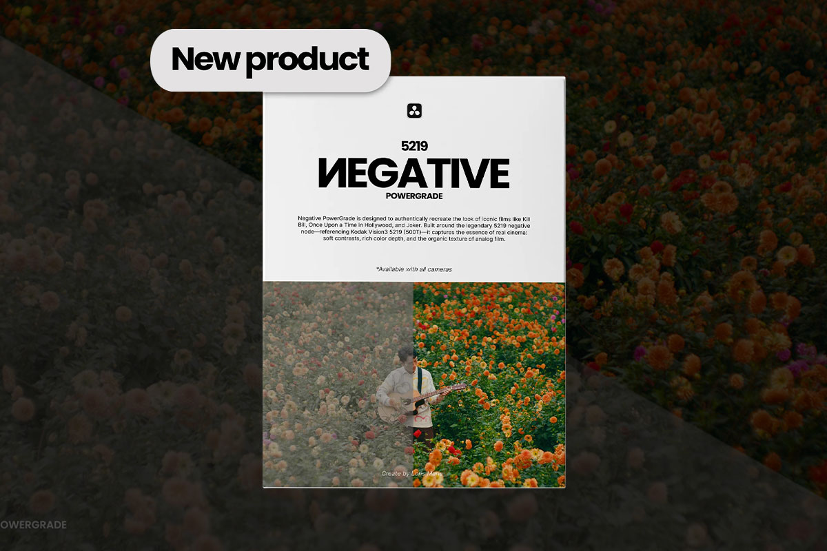 永恒经典好莱坞电影大片柯达胶片模拟调色达芬奇节点+LUT预设素材包 Loris Marie – Negative Powergrade ( Davinci Resolve )特色图 永恒经典好莱坞电影大片柯达胶片模拟调色达芬奇节点+LUT预设素材包 Loris Marie – Negative Powergrade ( Davinci Resolve )