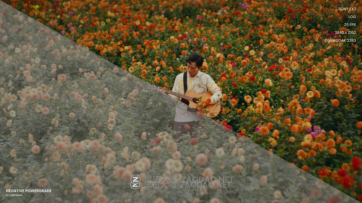 永恒经典好莱坞电影大片柯达胶片模拟调色达芬奇节点+LUT预设素材包 Loris Marie – Negative Powergrade ( Davinci Resolve )插图1 永恒经典好莱坞电影大片柯达胶片模拟调色达芬奇节点+LUT预设素材包 Loris Marie – Negative Powergrade ( Davinci Resolve )插图1