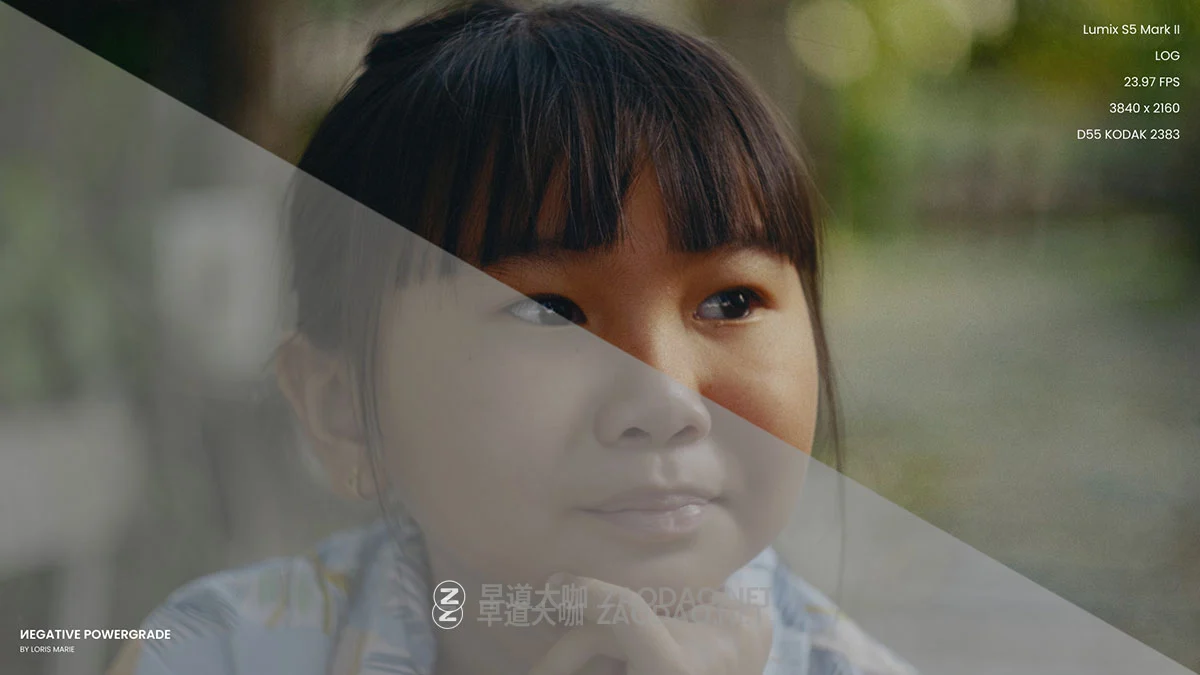 永恒经典好莱坞电影大片柯达胶片模拟调色达芬奇节点+LUT预设素材包 Loris Marie – Negative Powergrade ( Davinci Resolve )插图2 永恒经典好莱坞电影大片柯达胶片模拟调色达芬奇节点+LUT预设素材包 Loris Marie – Negative Powergrade ( Davinci Resolve )插图2