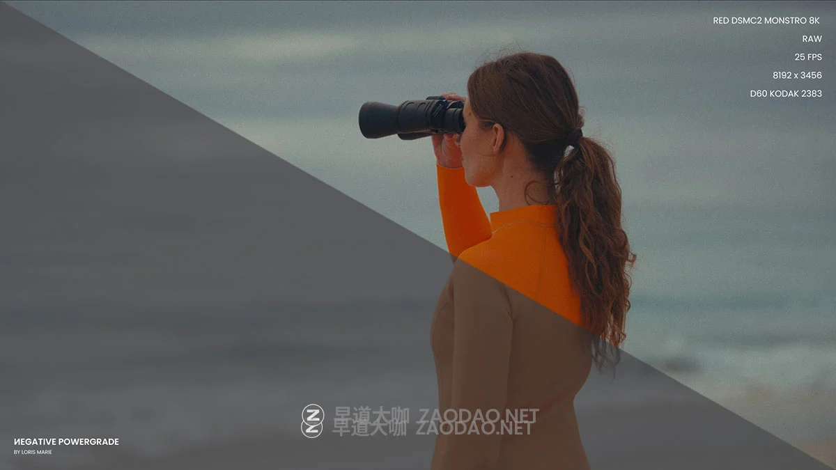 永恒经典好莱坞电影大片柯达胶片模拟调色达芬奇节点+LUT预设素材包 Loris Marie – Negative Powergrade ( Davinci Resolve )插图6 永恒经典好莱坞电影大片柯达胶片模拟调色达芬奇节点+LUT预设素材包 Loris Marie – Negative Powergrade ( Davinci Resolve )插图6