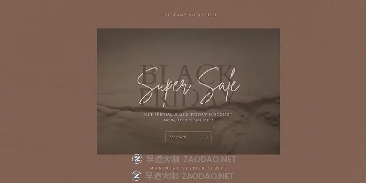 Myfonts – Brittany Signature Font Family 时尚精致曲线流畅作品集婚礼邀请函标题标志手写签名英文字体插图6 Myfonts – Brittany Signature Font Family 时尚精致曲线流畅作品集婚礼邀请函标题标志手写签名英文字体插图6