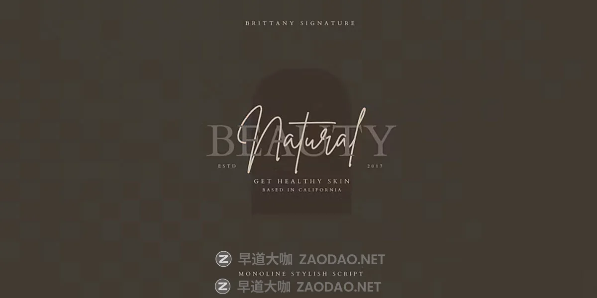 Myfonts – Brittany Signature Font Family 时尚精致曲线流畅作品集婚礼邀请函标题标志手写签名英文字体插图1 Myfonts – Brittany Signature Font Family 时尚精致曲线流畅作品集婚礼邀请函标题标志手写签名英文字体插图1