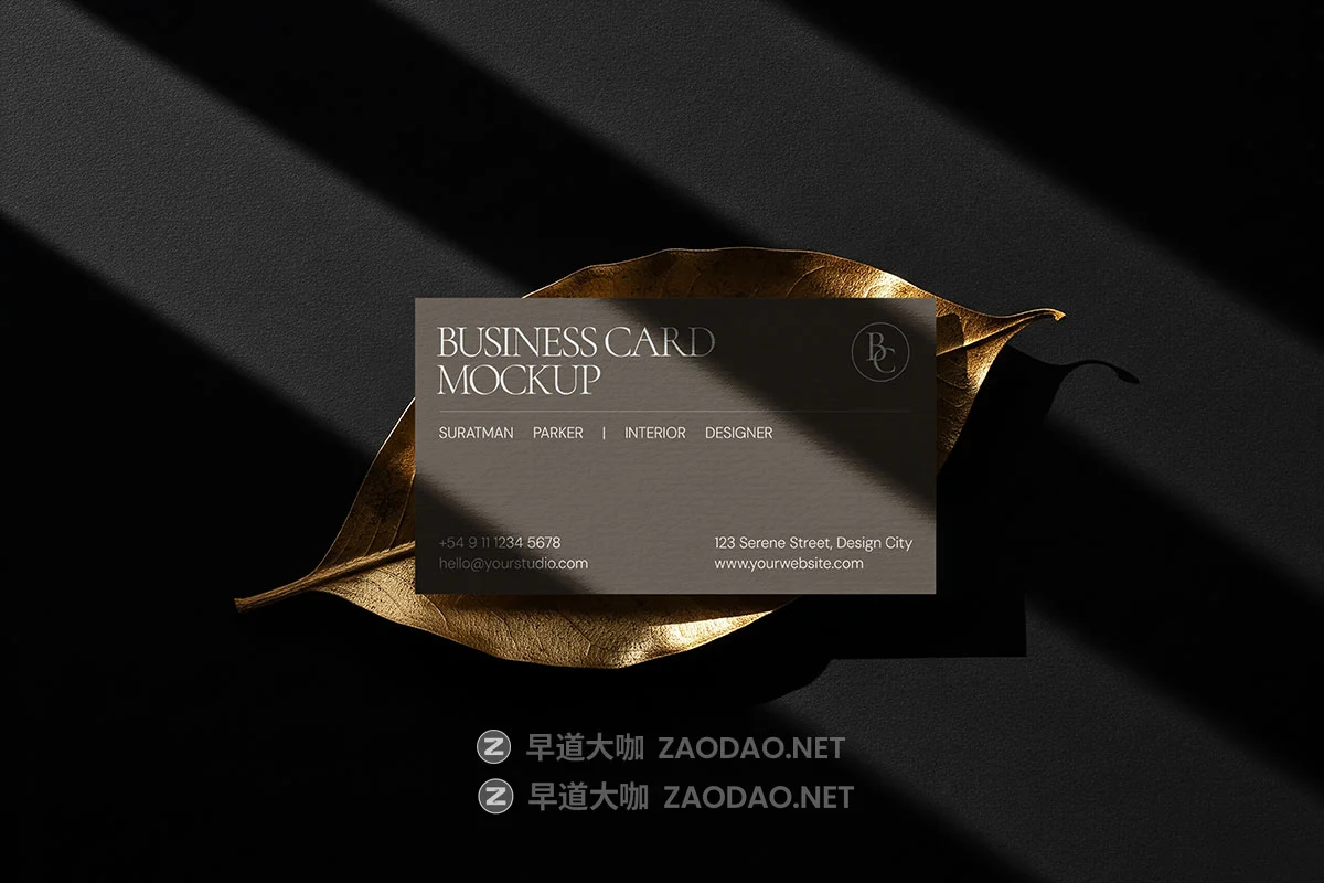 10款质感奢华商务商业个人名片卡片logo品牌vi设计贴图ps样机mockup模板 Premium Business Card Mockup插图9 10款质感奢华商务商业个人名片卡片logo品牌vi设计贴图ps样机mockup模板 Premium Business Card Mockup插图9