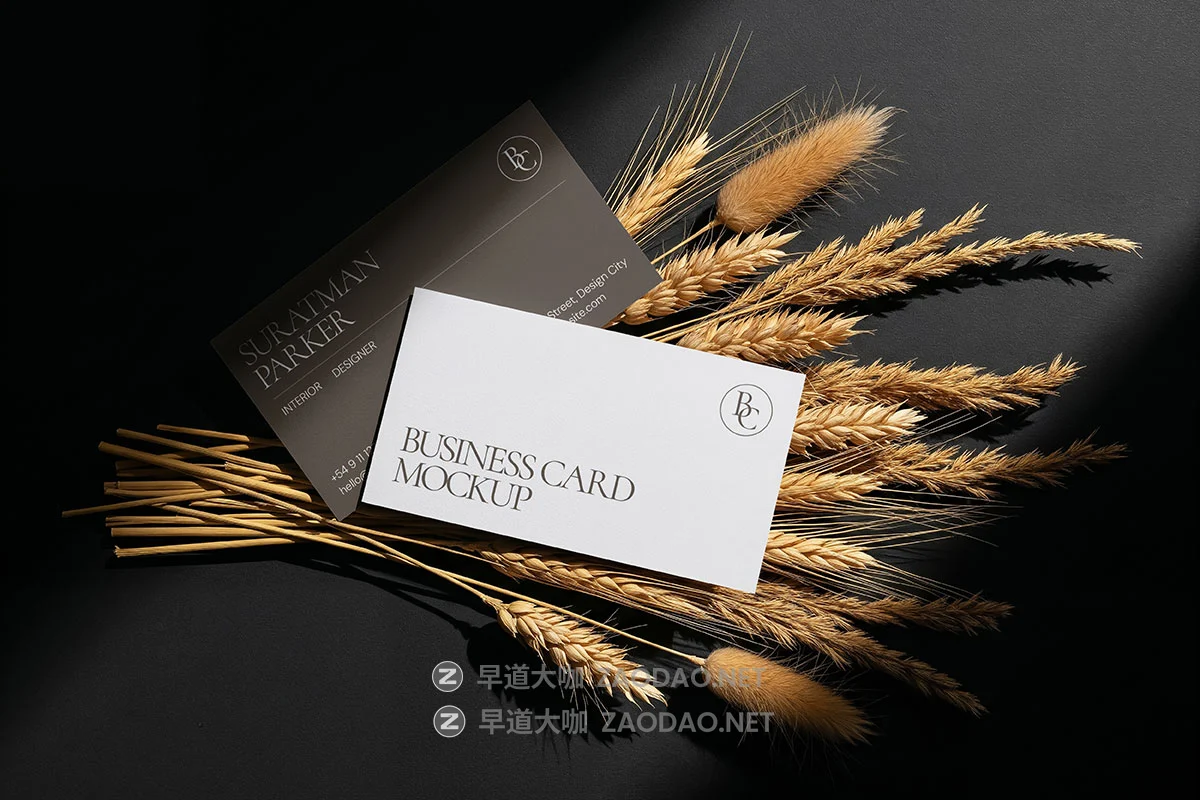 10款质感奢华商务商业个人名片卡片logo品牌vi设计贴图ps样机mockup模板 Premium Business Card Mockup插图6 10款质感奢华商务商业个人名片卡片logo品牌vi设计贴图ps样机mockup模板 Premium Business Card Mockup插图6