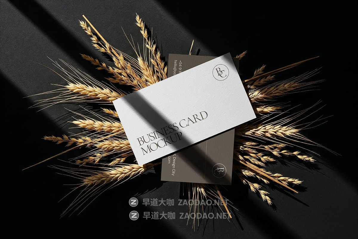 10款质感奢华商务商业个人名片卡片logo品牌vi设计贴图ps样机mockup模板 Premium Business Card Mockup插图5 10款质感奢华商务商业个人名片卡片logo品牌vi设计贴图ps样机mockup模板 Premium Business Card Mockup插图5