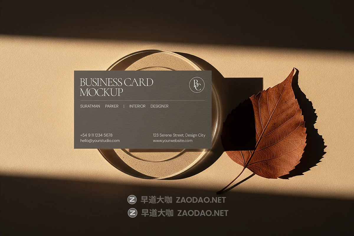 10款质感奢华商务商业个人名片卡片logo品牌vi设计贴图ps样机mockup模板 Premium Business Card Mockup插图1 10款质感奢华商务商业个人名片卡片logo品牌vi设计贴图ps样机mockup模板 Premium Business Card Mockup插图1